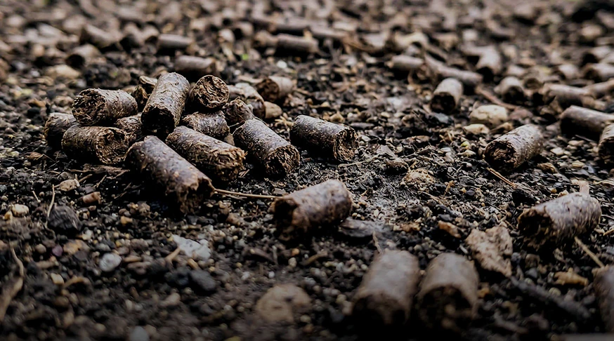 Animal manure organic fertilizer pellets made by manure pellet mill