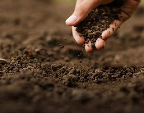 Compost pellets made from mature compost for garden maintenance