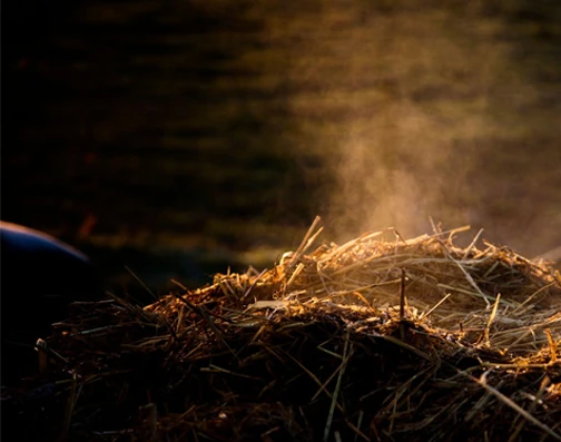 Corn straw and crop stalks for biomass pellet mill clean energy production