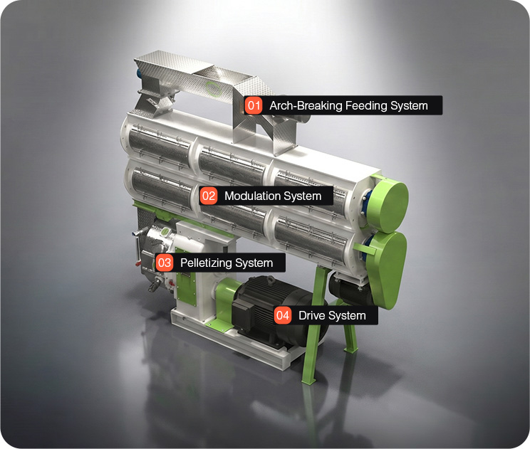 Introduction to Cattle Feed Pellet Mill Components