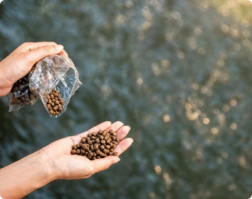 Floating fish feed pellets for freshwater and marine aquaculture