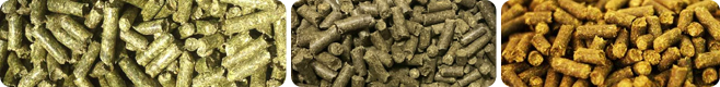 Alfalfa pellets