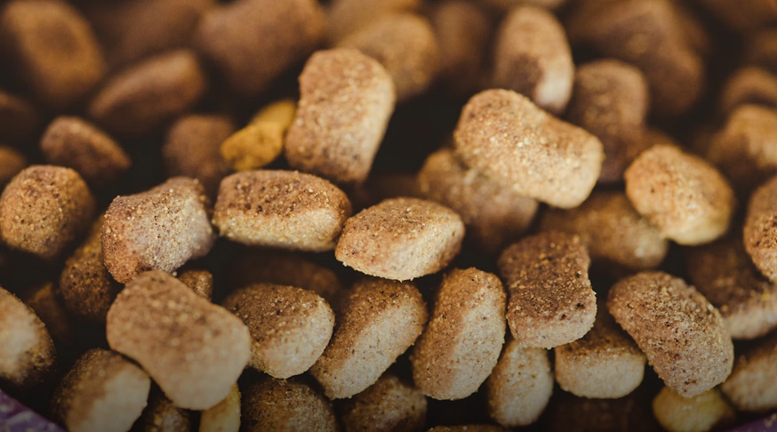 Extruded dog and cat pet food pellets made by twin-screw extruder
