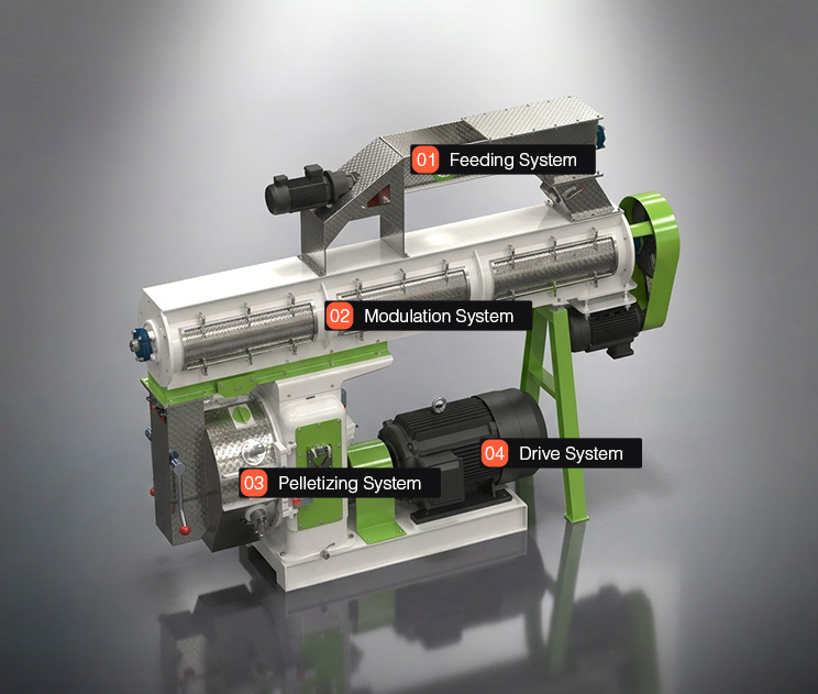 Poultry Feed Pellet Making Machine