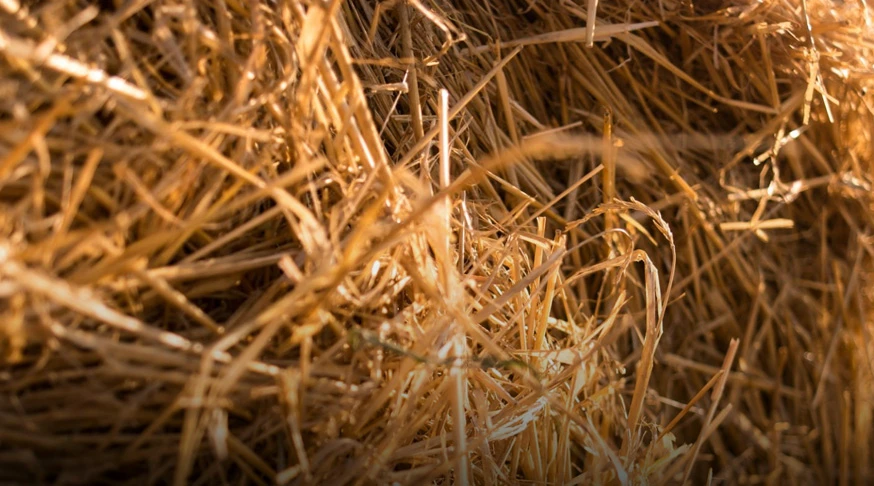 Crop straw and stalk raw materials for biomass pellets production