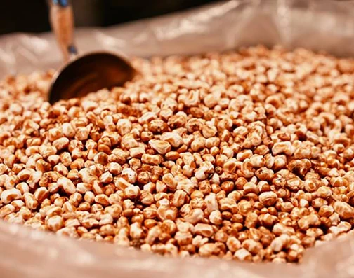 Extruded corn, soybean and raw materials for feed base and pet food production