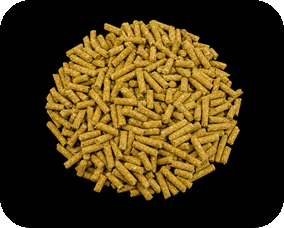 High quality broiler feed pellets