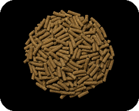 High protein premium carp floating feed pellets