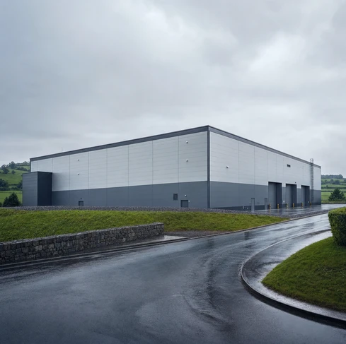 A cat and dog pet food extrusion production line with a capacity of 2-2.5 tons/hour in Ireland