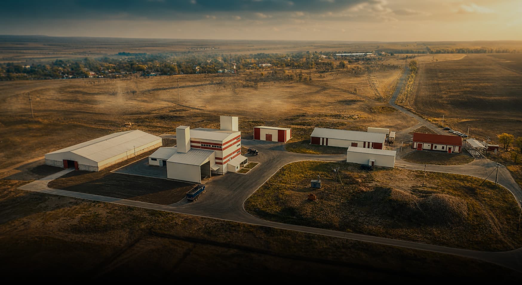 complete Animal Feed Production Line solution