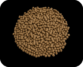 Efficient crucian carp floating feed pellets