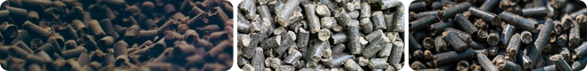 Pellets produced by a chicken manure pellet production line
