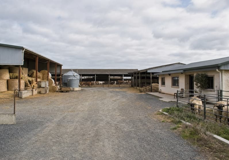 Applications in breeding cooperative