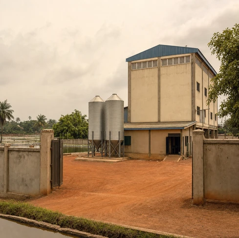 A catfish sinking feed plant with a capacity of 1.5T/H in Nigeria