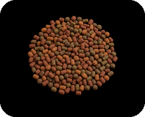 Economical ornamental fish floating feed pellets