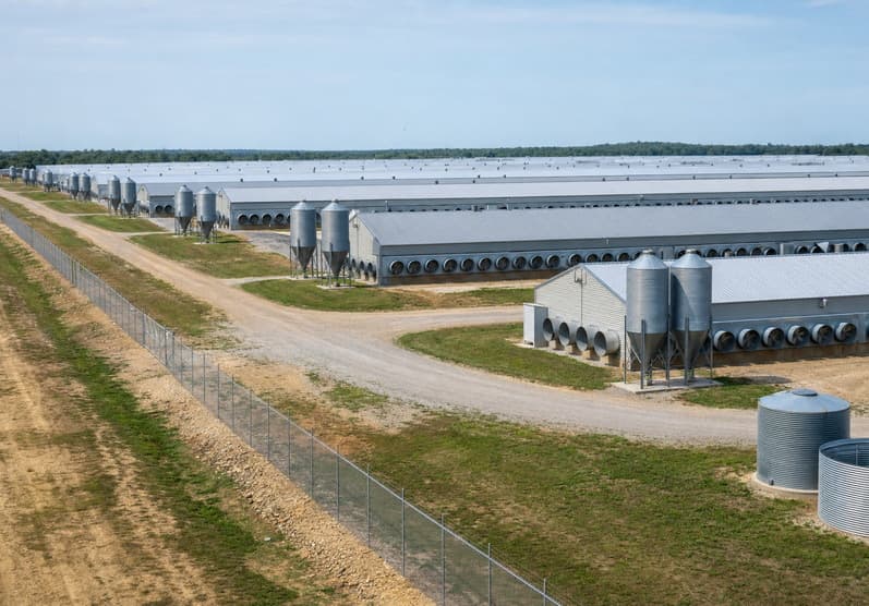 Applications in breeding farm
