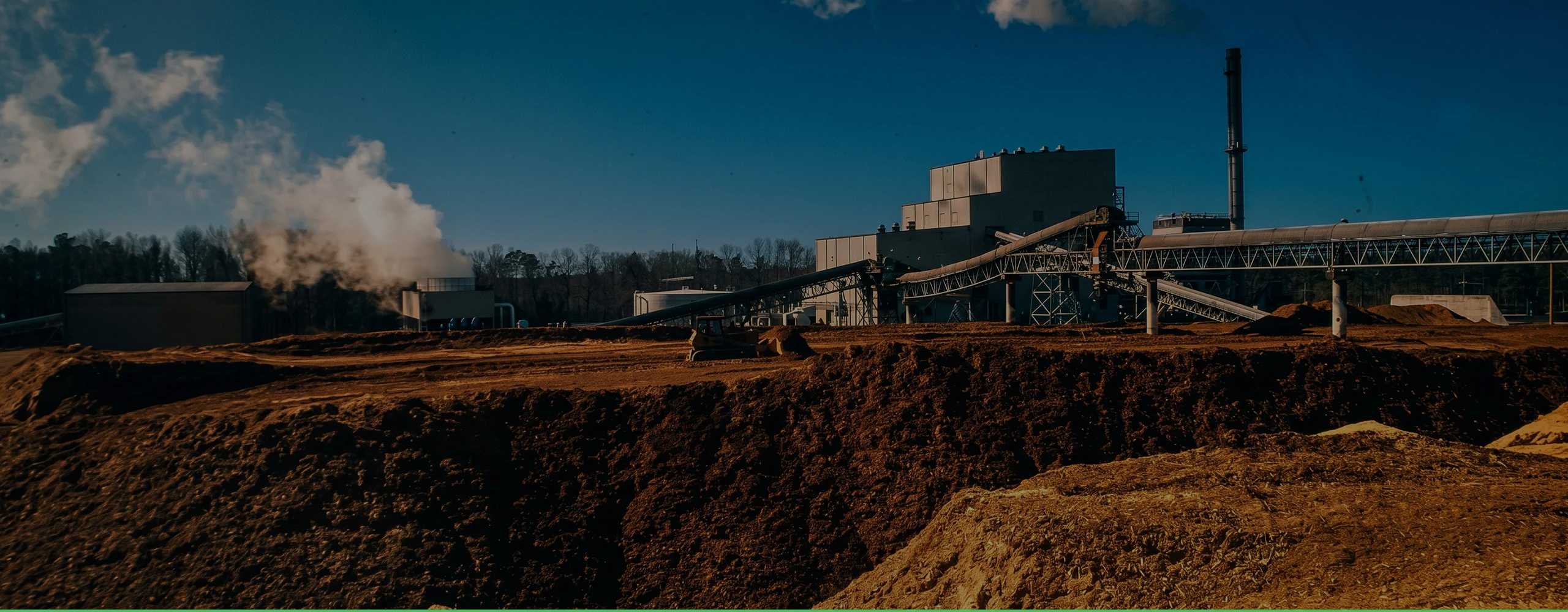 richi organic fertilizer pellet processing plant