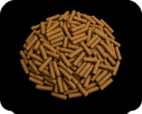 Balanced seabass floating feed pellets