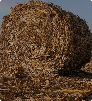 biomass pellets made from straw