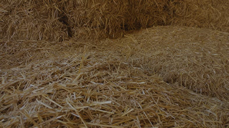 Easily accessible straw